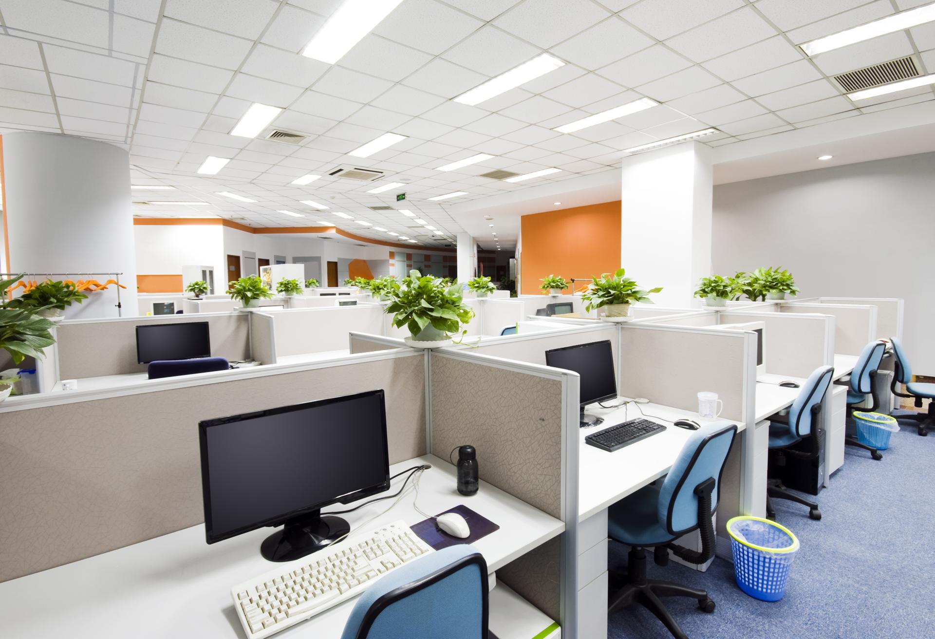 Cost-Effective Commercial Office Cleaning Service In East Tamaki Heights